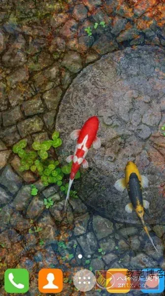 Water Garden Live Wallpaper 锦鲤3D动态壁纸2.05专业版-数驰博客