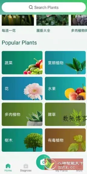 PictureThis 植物识别v5.15.0专业版-数驰博客
