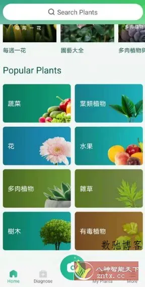 PictureThis 植物识别v5.25.0专业版-数驰博客