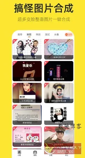 嗨小葩-数驰博客