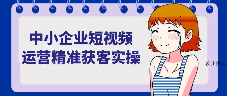 中小企业短视频运营精准获客实操-数驰博客