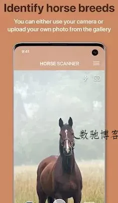 Horse Scanner 马鉴定器v12.1.0高级版-数驰博客
