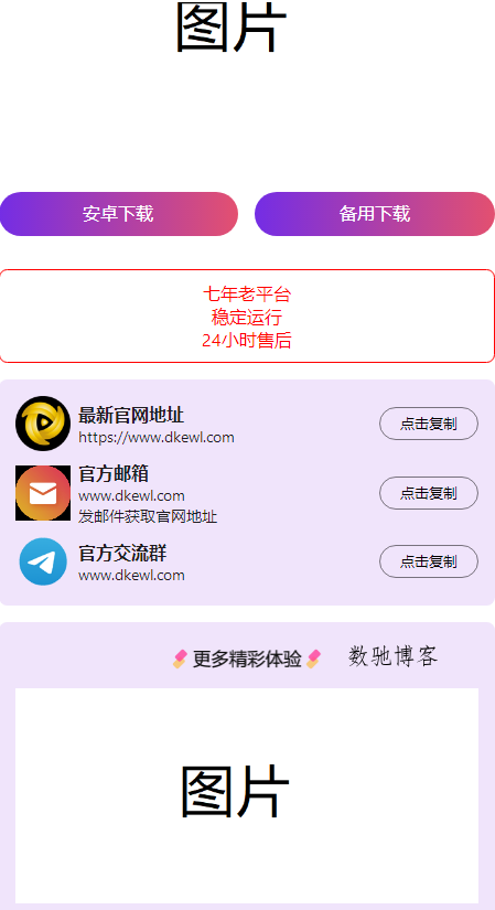 2024首发最火的软件宣传单页源码-数驰博客
