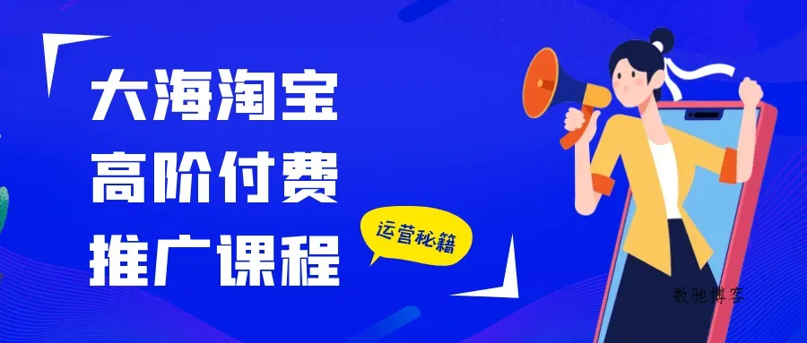 大海淘宝高阶付费推广课程-数驰博客