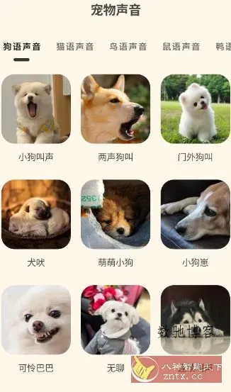 哆啦猫狗翻译器1.2.6高级版-数驰博客