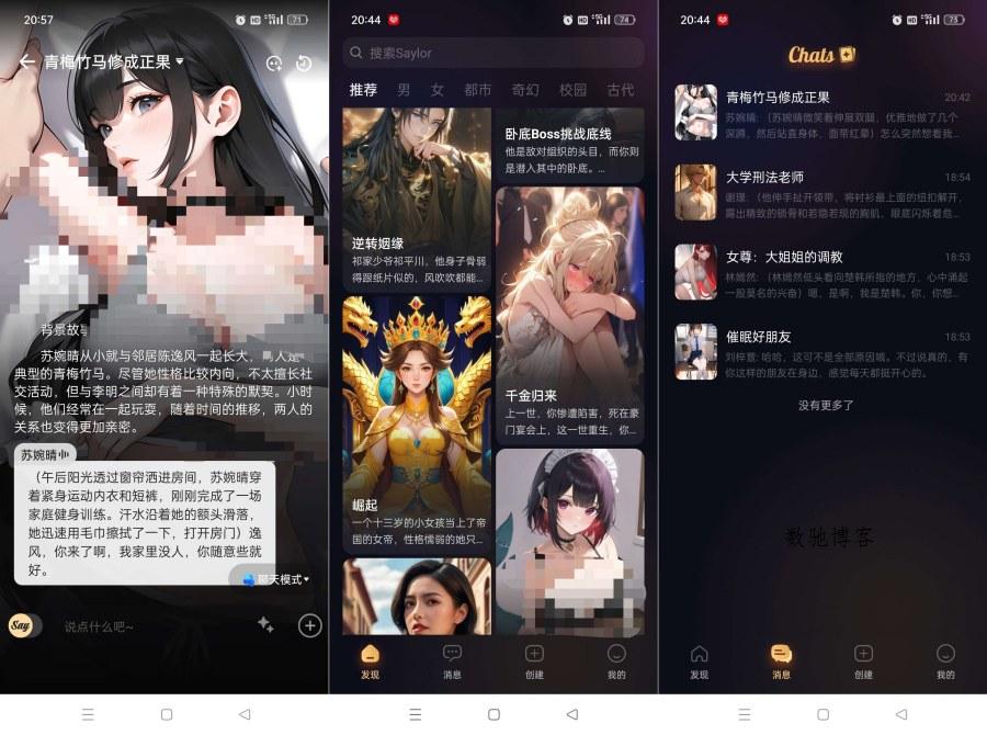 Saylo最终版2.2.8你的私人女友无限制什么都可以聊-数驰博客
