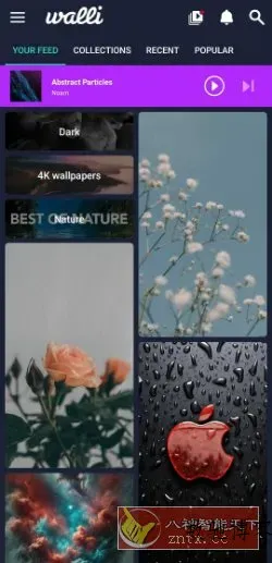 Walli Pro 4K壁纸 2.12.89高级版-数驰博客