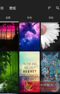 ZEDGE 铃声和壁纸v9.6.1高级版-数驰博客