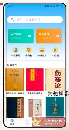 穴位经络图谱-数驰博客