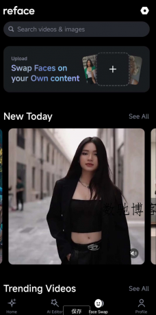 AI无限制换脸 可传自己本地的图一键换脸 支持自定义照片和视频-数驰博客