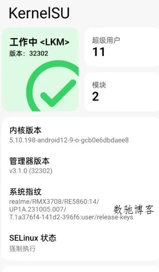 KernelSU 安卓内核级Root管理器v3.2.4-31-数驰博客