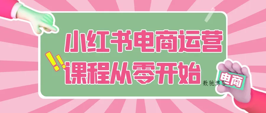 小红书电商运营课程从零开始-数驰博客