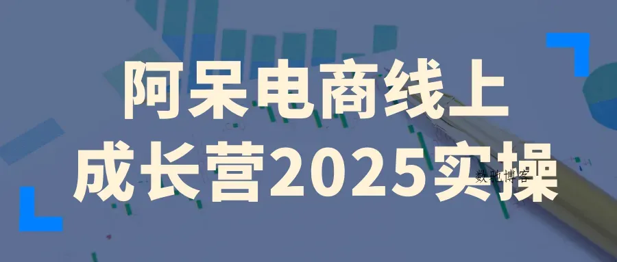 阿呆电商线上成长营2025实操-数驰博客