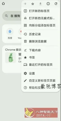 谷歌浏览器 Google Chrome v141.0.7390.70-数驰博客