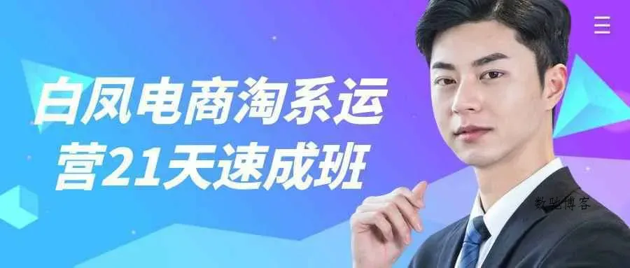 白凤电商淘系运营21天速成班-数驰博客