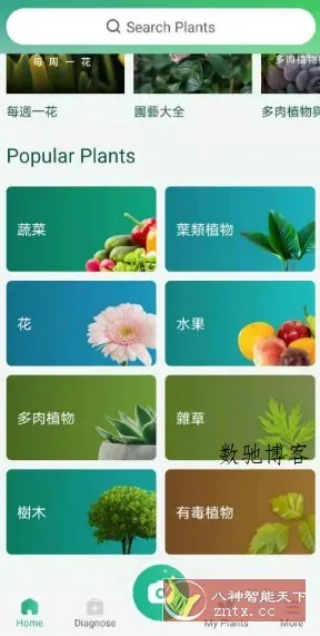 PictureThis 植物识别v5.13.0专业版-数驰博客