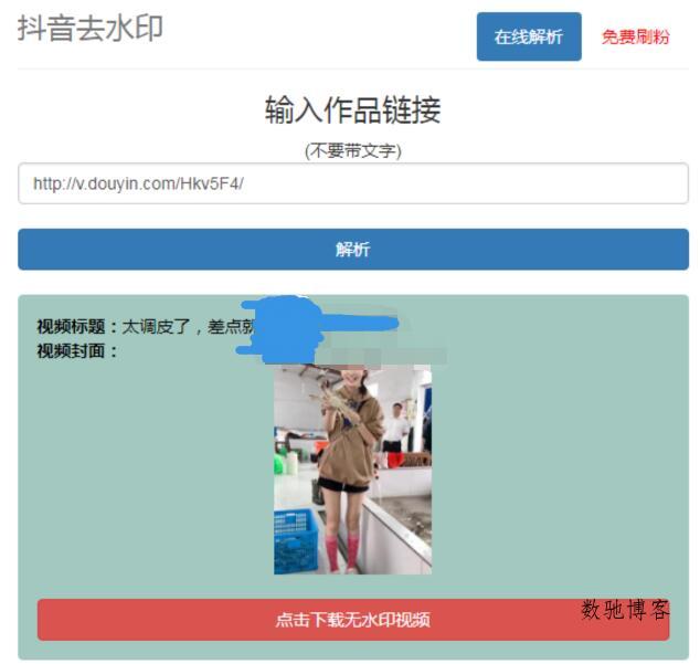 抖音在线去水印网站PHP源码-数驰博客