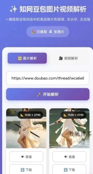 豆包无水印解析1.0.0-数驰博客