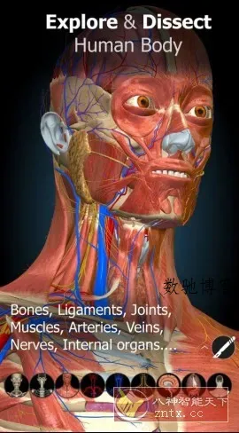 Anatomy Learning 3D解剖学v3.1.493高级版-数驰博客