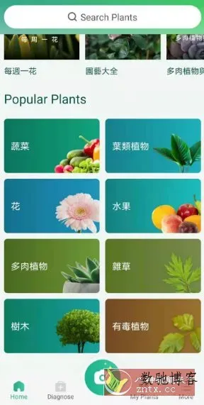 PictureThis 植物识别v5.23.0专业版-数驰博客