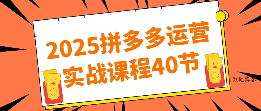 2025拼多多运营实战课程40节-数驰博客