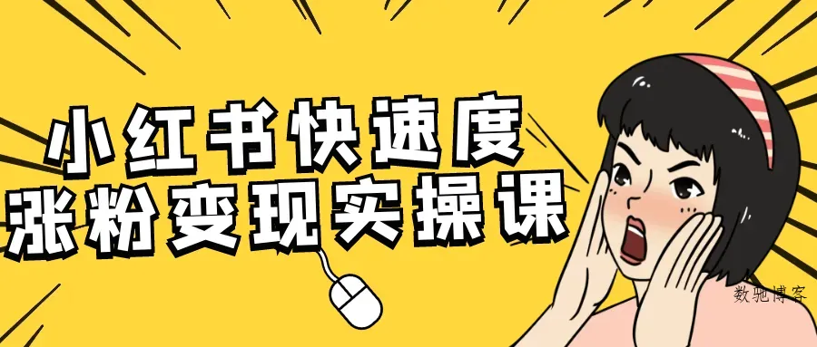 小红书快速度涨粉变现实操课-数驰博客