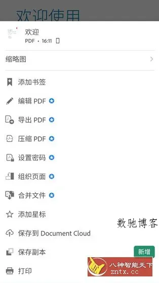 Adobe Acrobat Reader Pro 鼻祖级PDF处理器v25.10.1.41618专业版-数驰博客