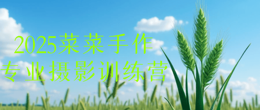 2025菜菜手作专业摄影训练营-数驰博客