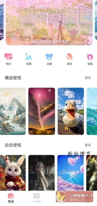 91熊猫桌面主题v1.0.6高级版-数驰博客