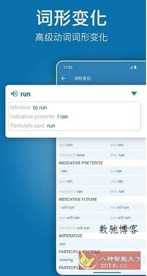 Reverso翻译和学*v14.7.0 高级版-数驰博客