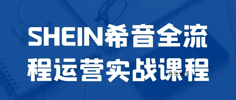 SHEIN希音全流程运营实战课程-数驰博客