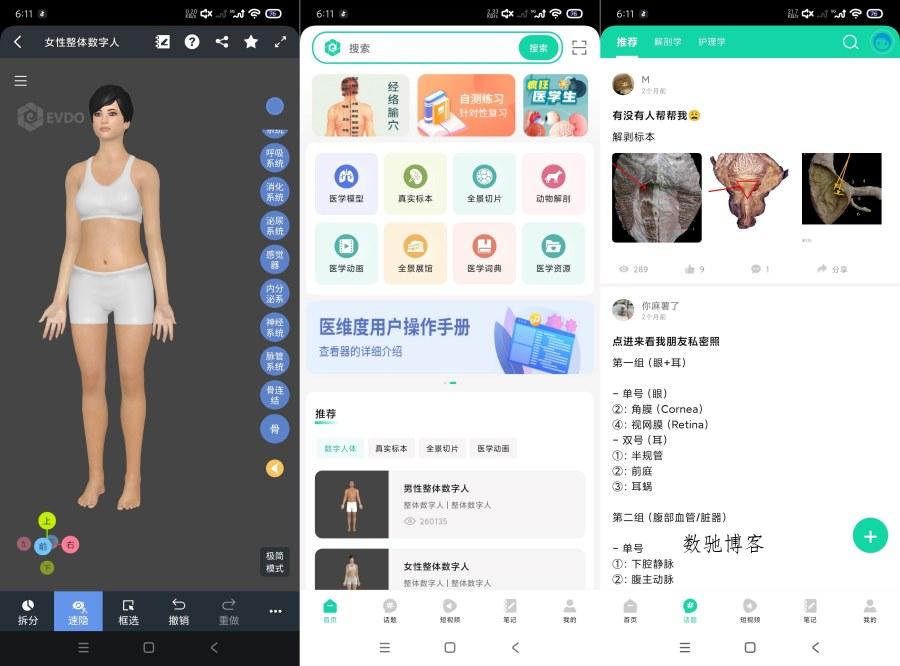 医维度解剖3.3.21一键解刨｜医学知识｜一键脱衣等-数驰博客