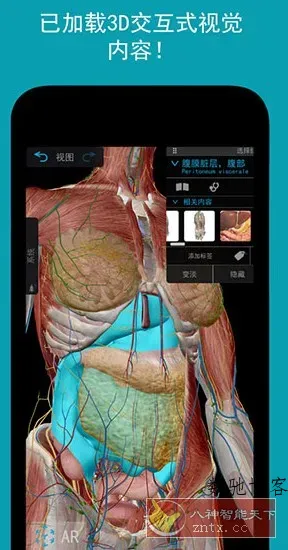 Human Anatomy Atlas 2026 人体解剖学图谱v2026.00.019高级版-数驰博客