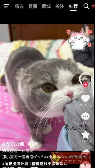 抖音港版38.7.0-数驰博客