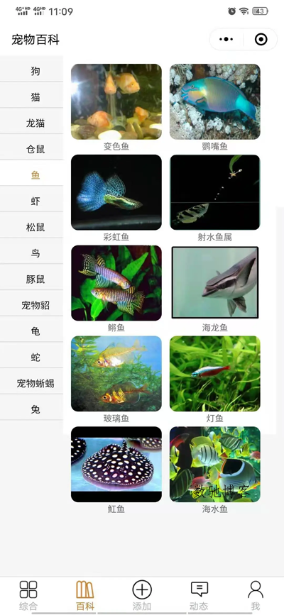 开源宠物社区微信小程序源码-数驰博客