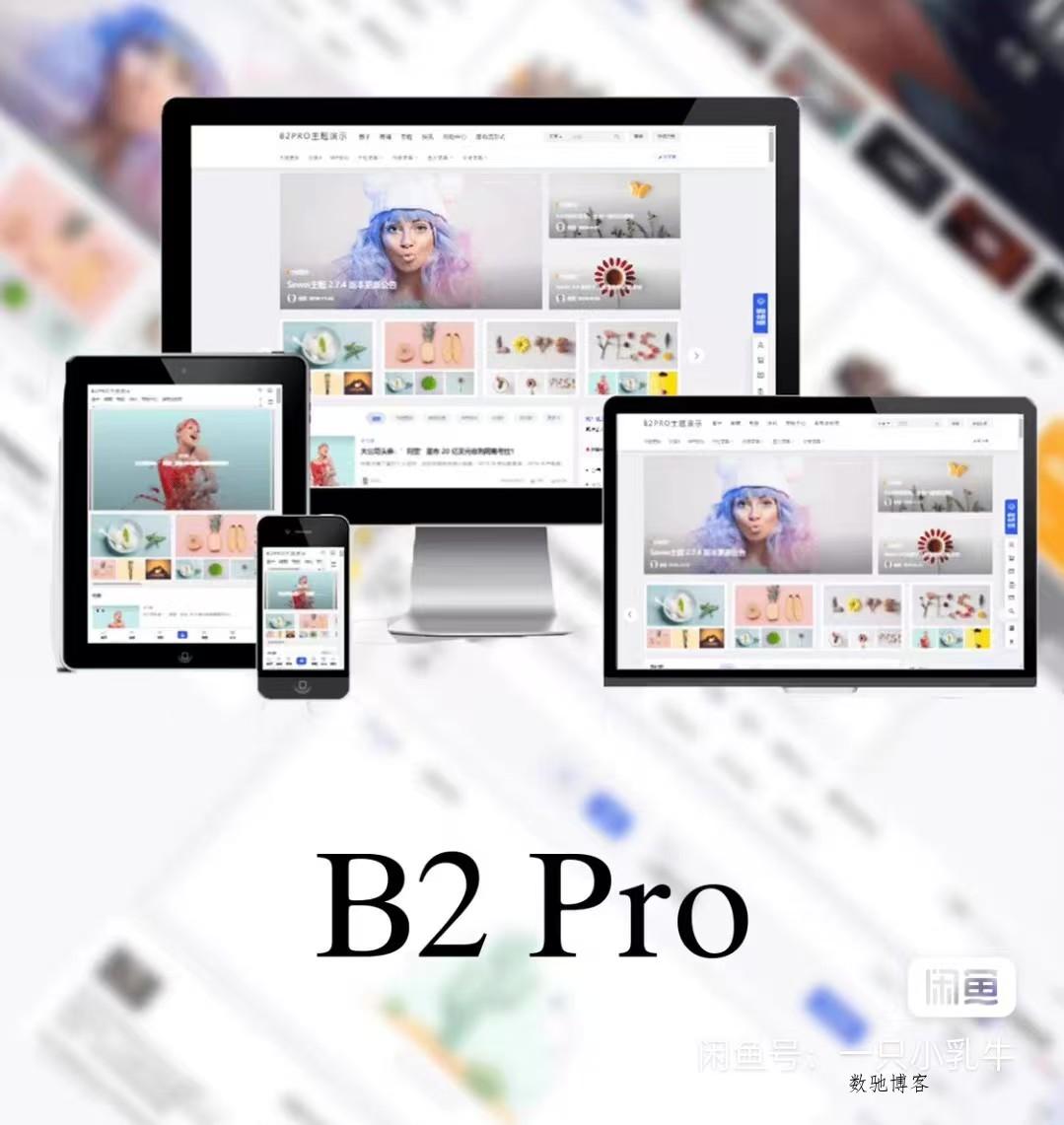 最新版7B2 PRO主题5.4.2 免授权开心版源码-数驰博客