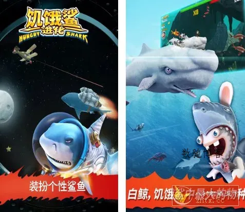 饥饿鲨:进化9.15.10.0清爽版★顶级Unity3D引擎打造海底冒险动作游戏-数驰博客