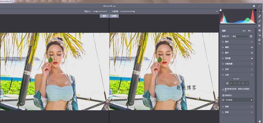 RAW处理Adobe Camera Raw v18.2.2中文版-数驰博客