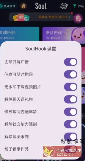 Soul v5.86.0内置模块-数驰博客