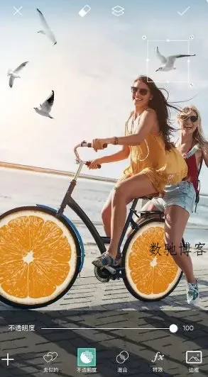 Picsart美易 v29.6会员版-数驰博客