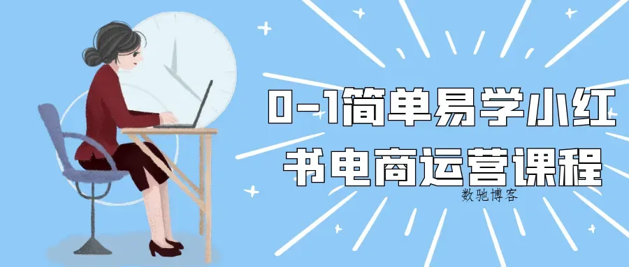 0-1简单易学小红书电商运营课程-数驰博客