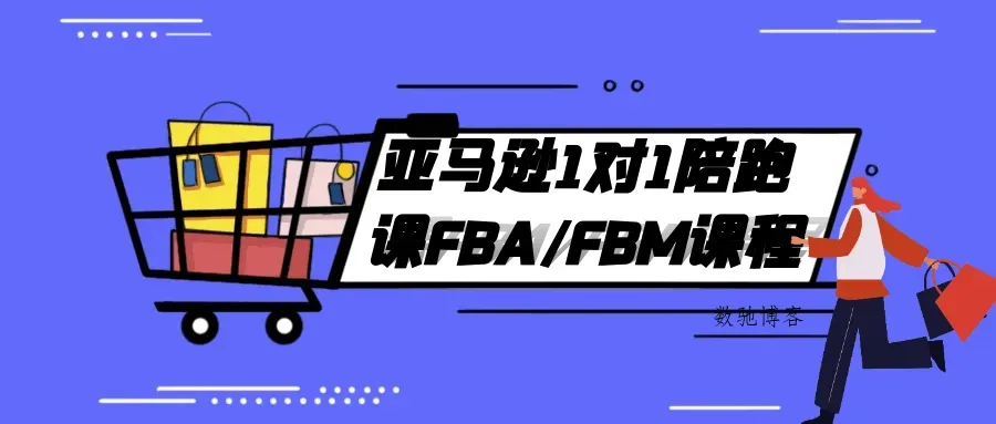 亚马逊1对1陪跑课FBA/FBM课程-数驰博客