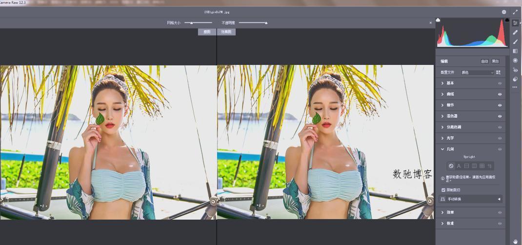 RAW处理Adobe Camera Raw v18.3.0中文版 RAW处理Adobe Camera Raw v18.3.0中文版