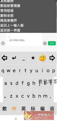 点明输入法v3.0.0729 --专为视障朋友打造的盲用输入法-数驰博客