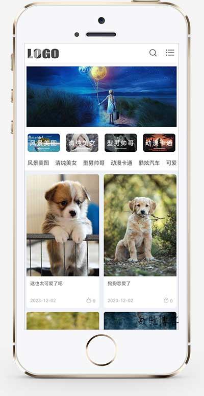 H5自适应响应式相册图片网站模板 – 图片壁纸类网站源码下载-数驰博客