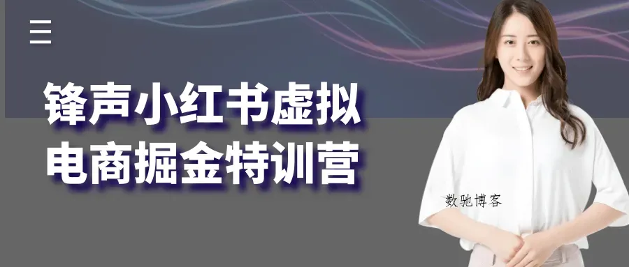 锋声小红书虚拟电商掘金特训营-数驰博客