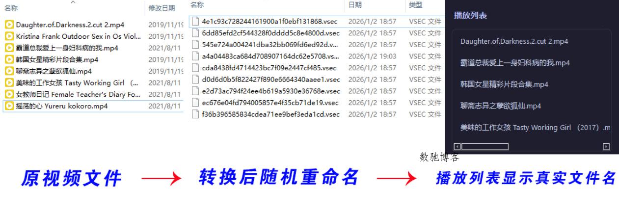 老司机隐私播放器SecureVault Player V0.8.9 老司机隐私播放器SecureVault Player V0.8.9