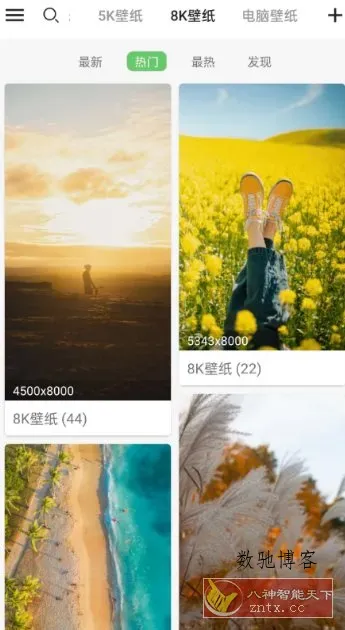 搜图神器5.3.4高级版-数驰博客