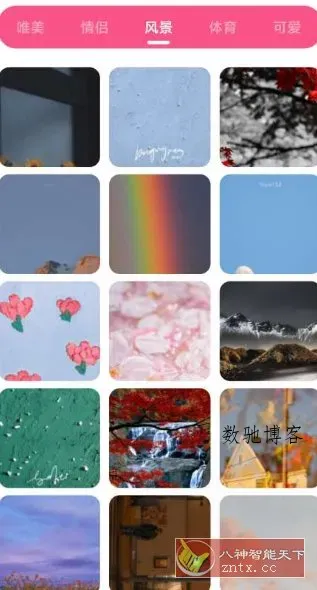 皮皮壁纸 v1.3纯净版-数驰博客